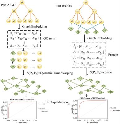 Comparative Analysis of Unsupervised Protein Similarity Prediction Based on Graph Embedding